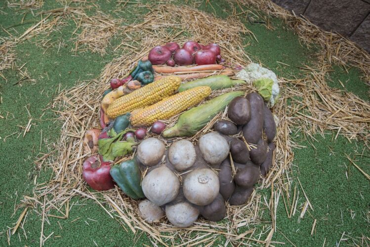 Custom GFRC carved produce food display at farmer's market play stand Turkey Thicket Recreation Center Washington DC
